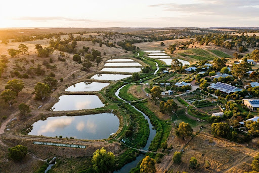 Green Web Pond Initiatives